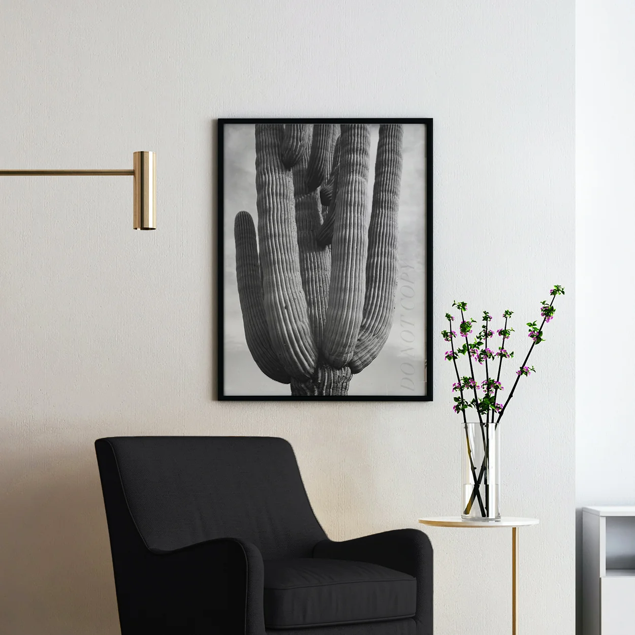 Ansel Adams Desert Cactus - Image 2