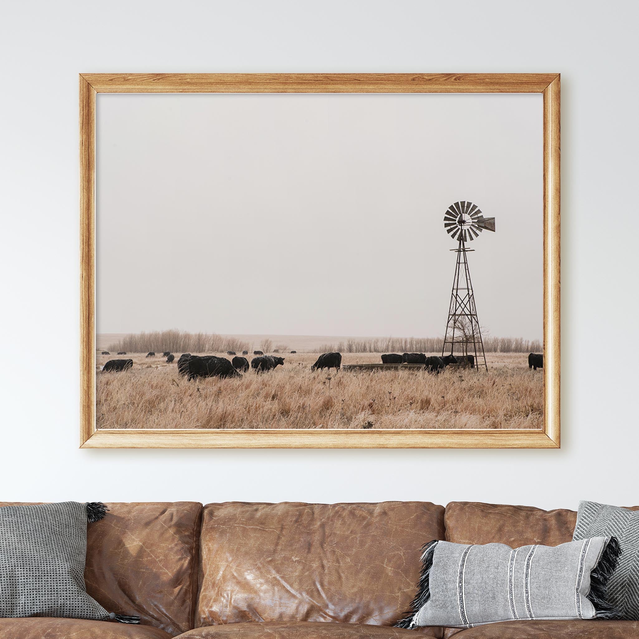Cattle Grazing On Southwest Farm - Image 3