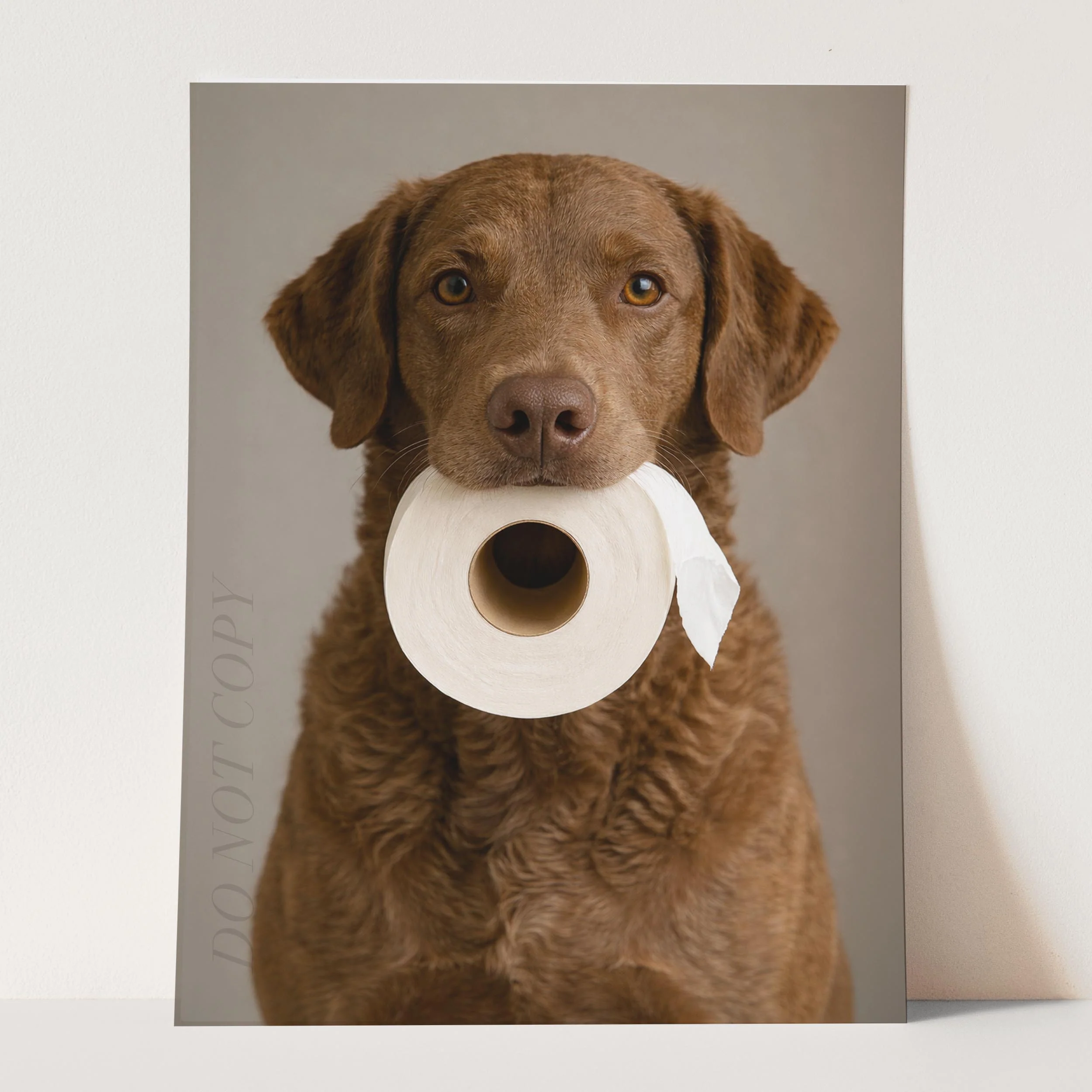 Chesapeake Bay Retriever Dog Toilet Paper - Image 3