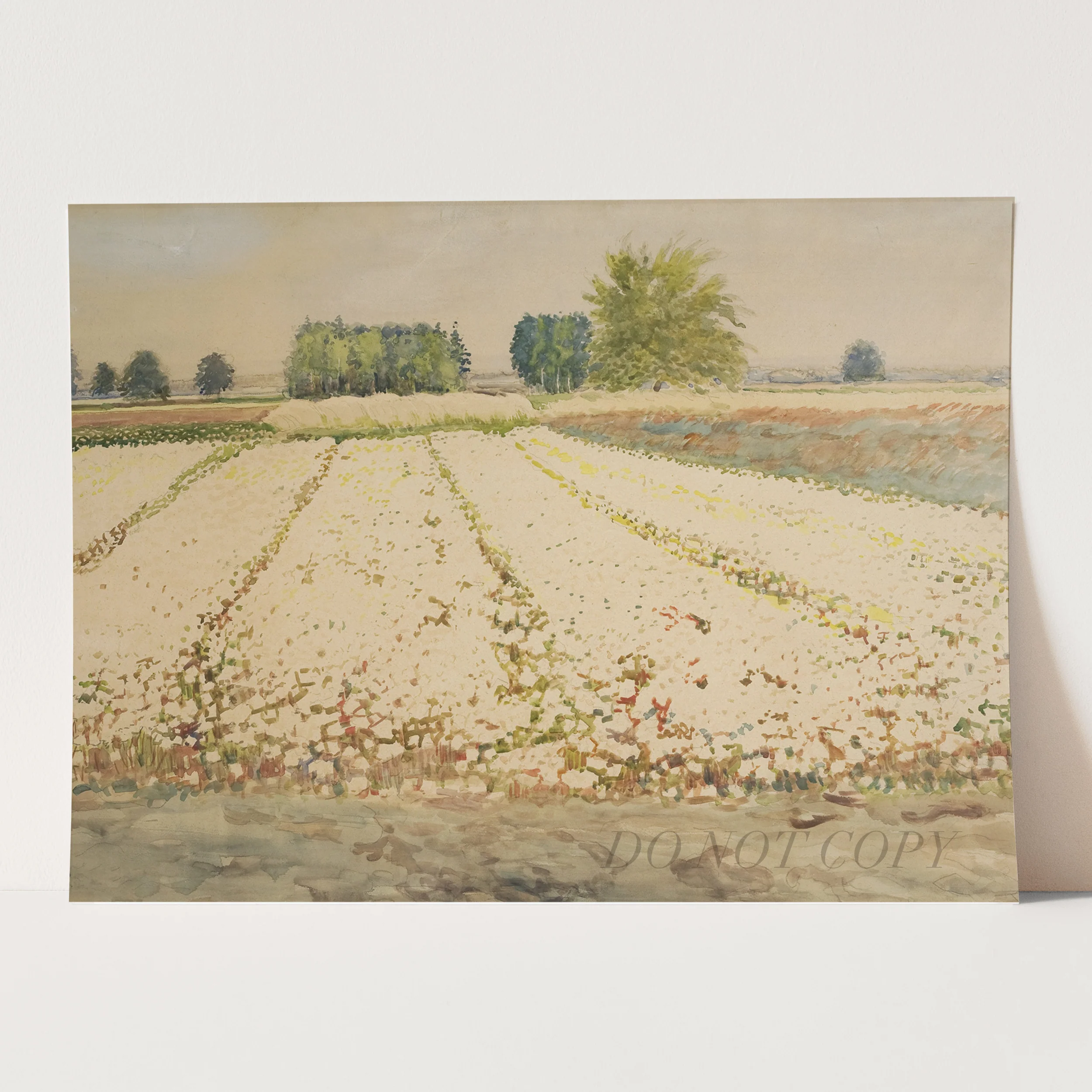 Farm of Flowers - Image 3
