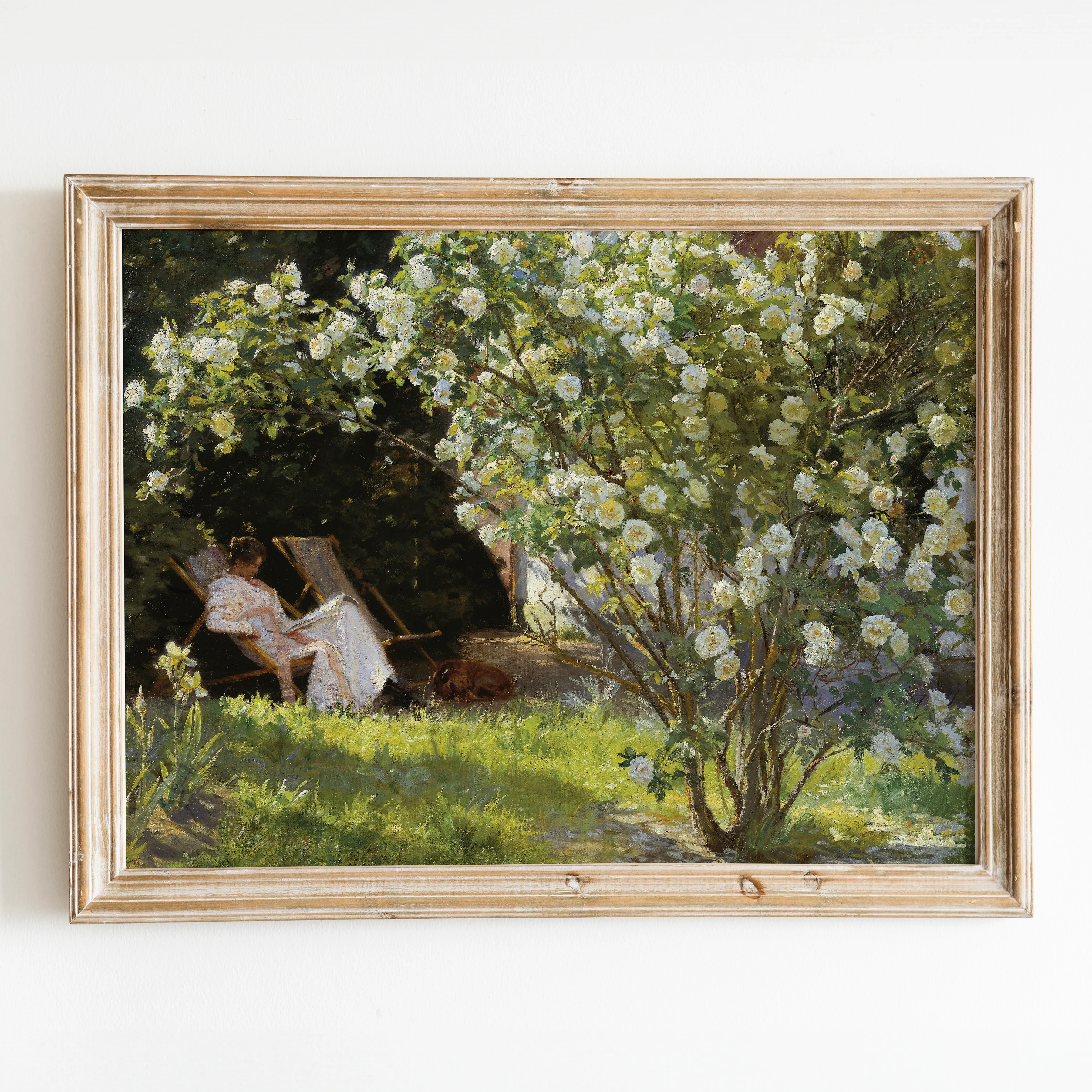 In The Garden