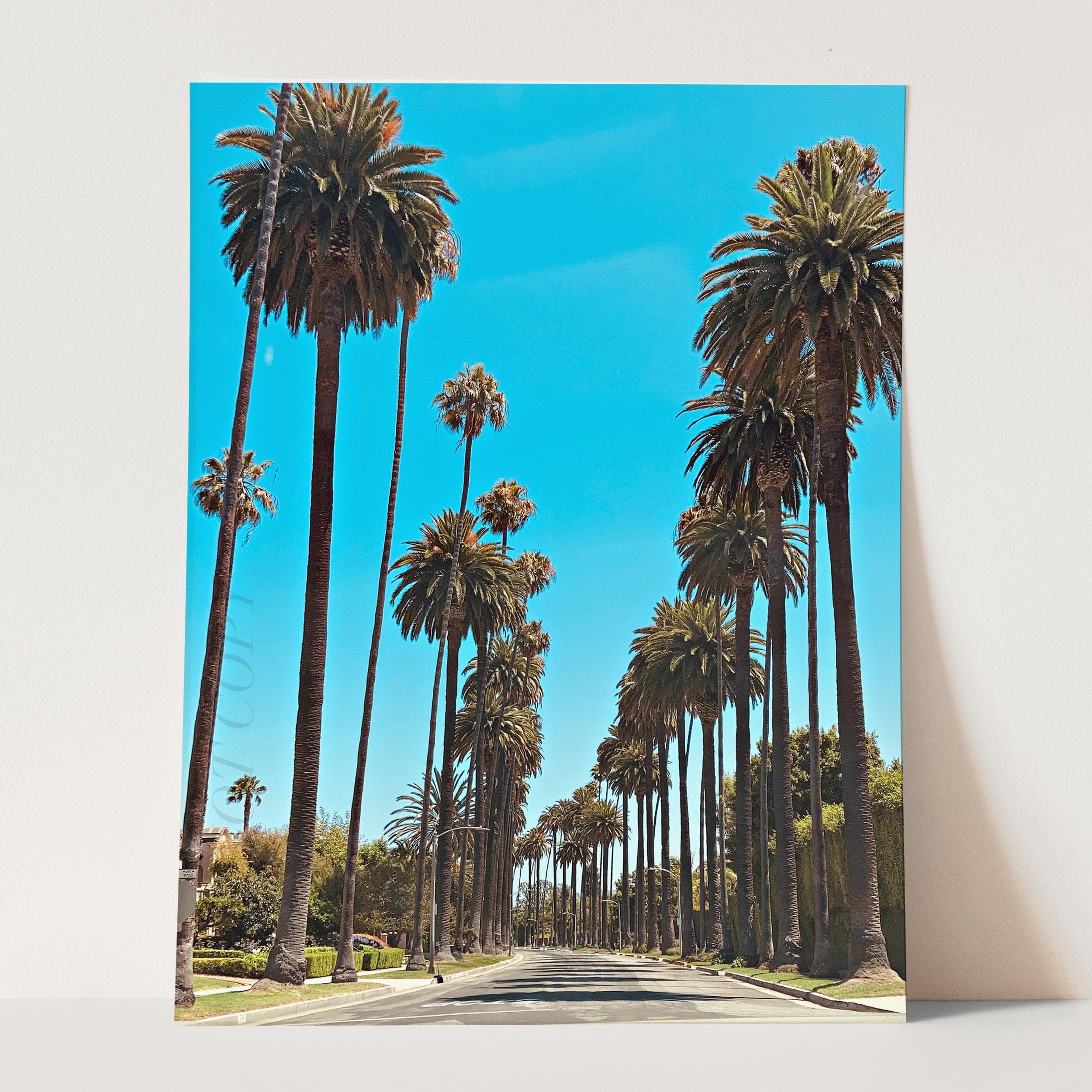 Los Angeles Palm Trees Street - Image 3