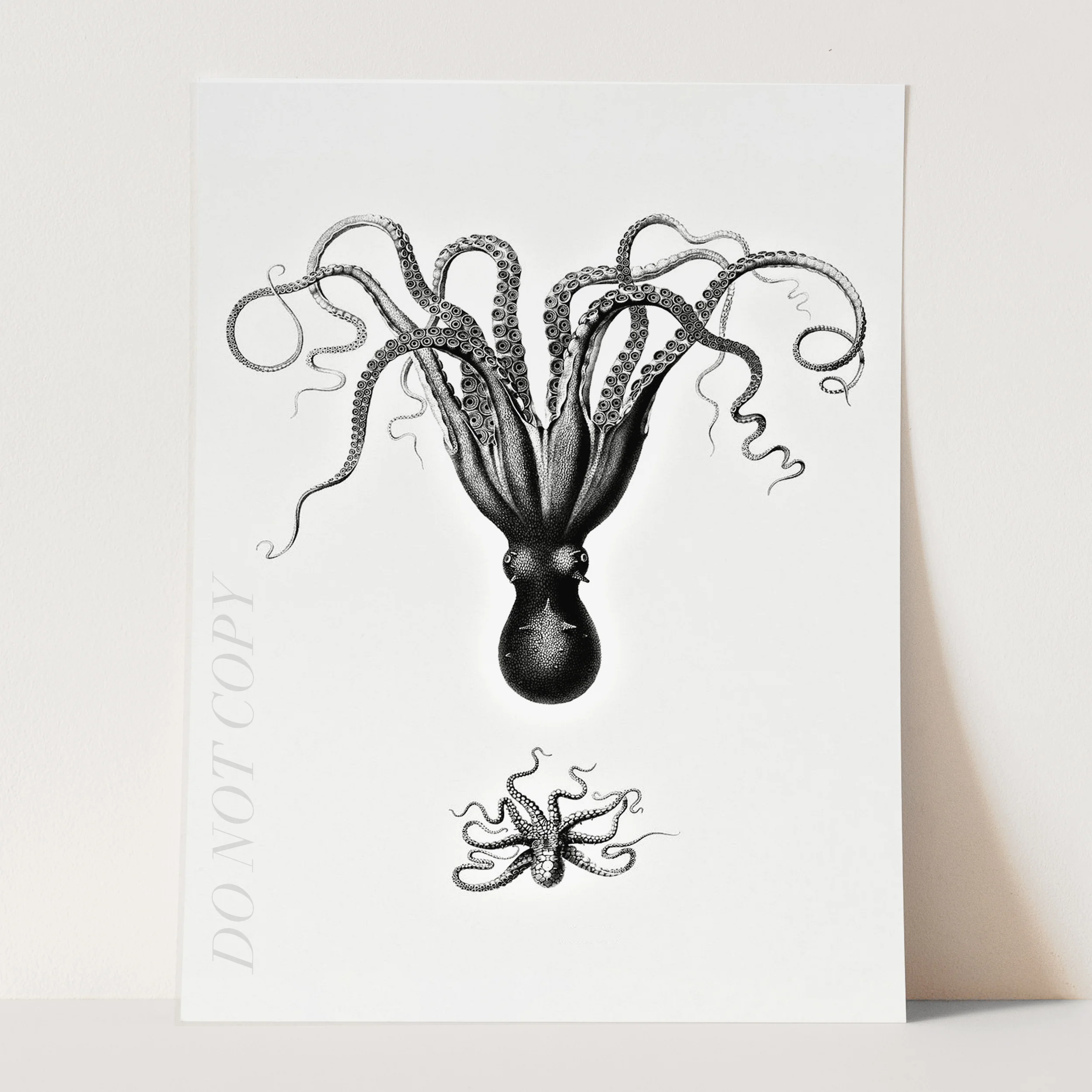 Octopus Illustration - Image 3