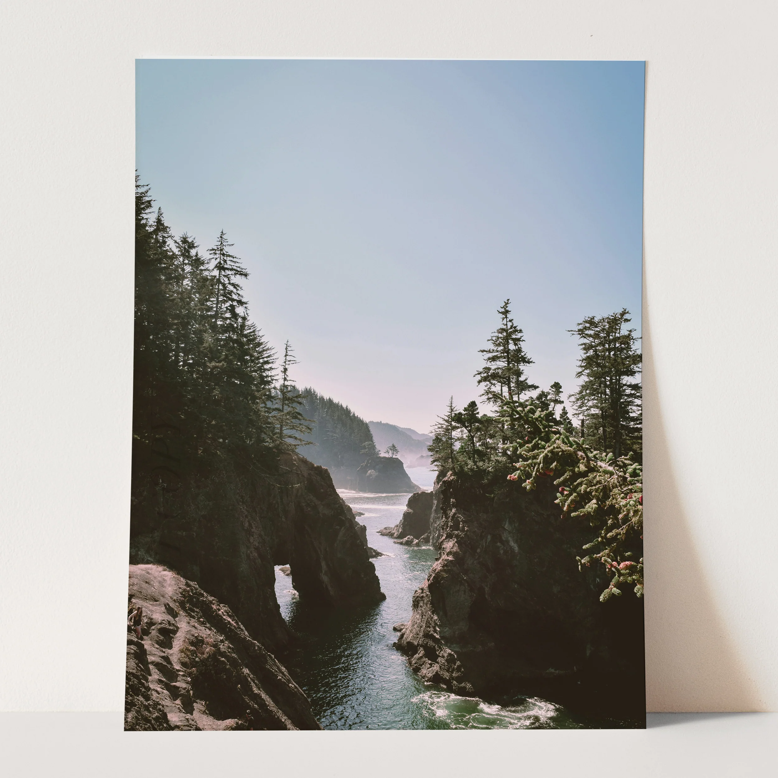 Oregon Coast - Image 3