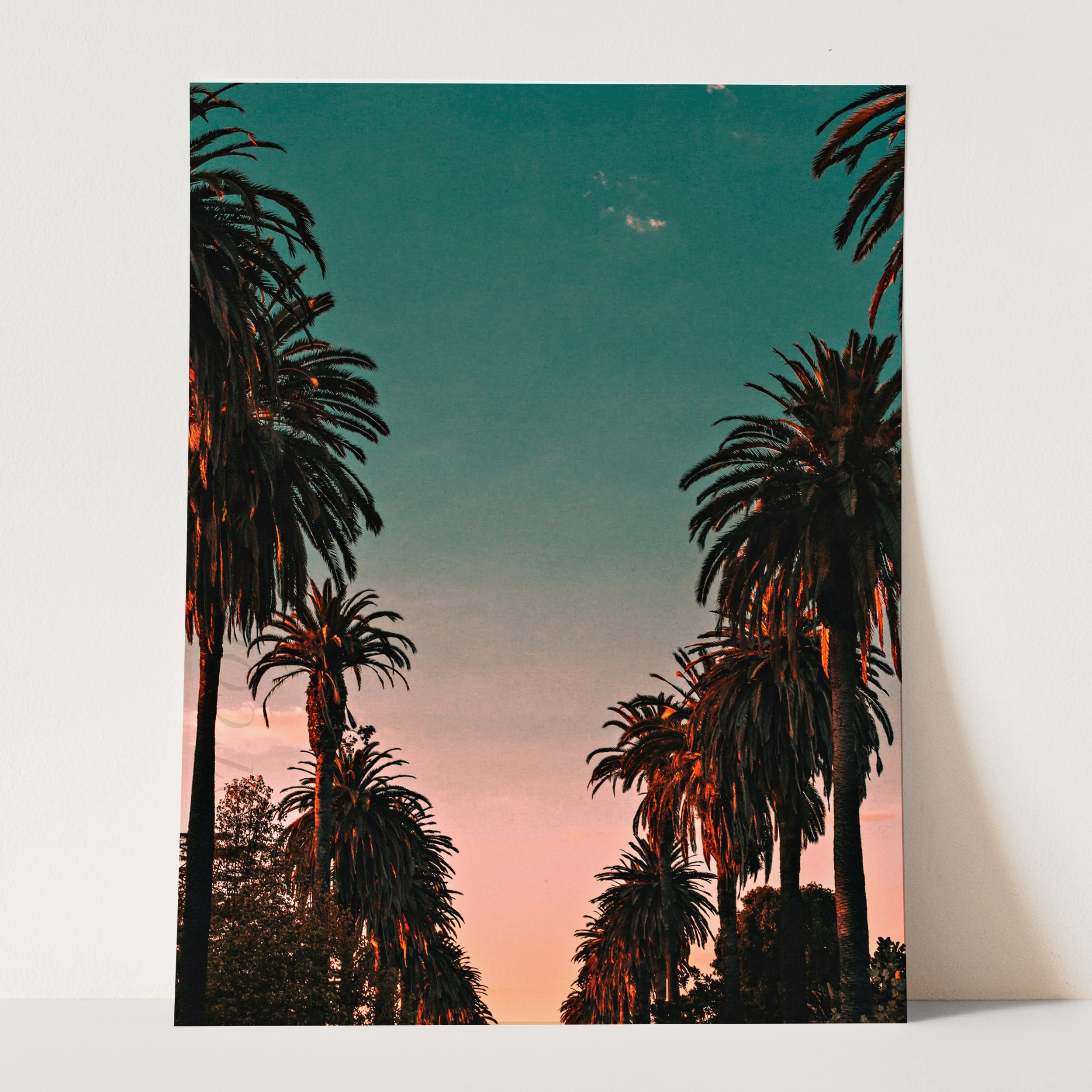 Palm Trees Sunset, California - Image 3