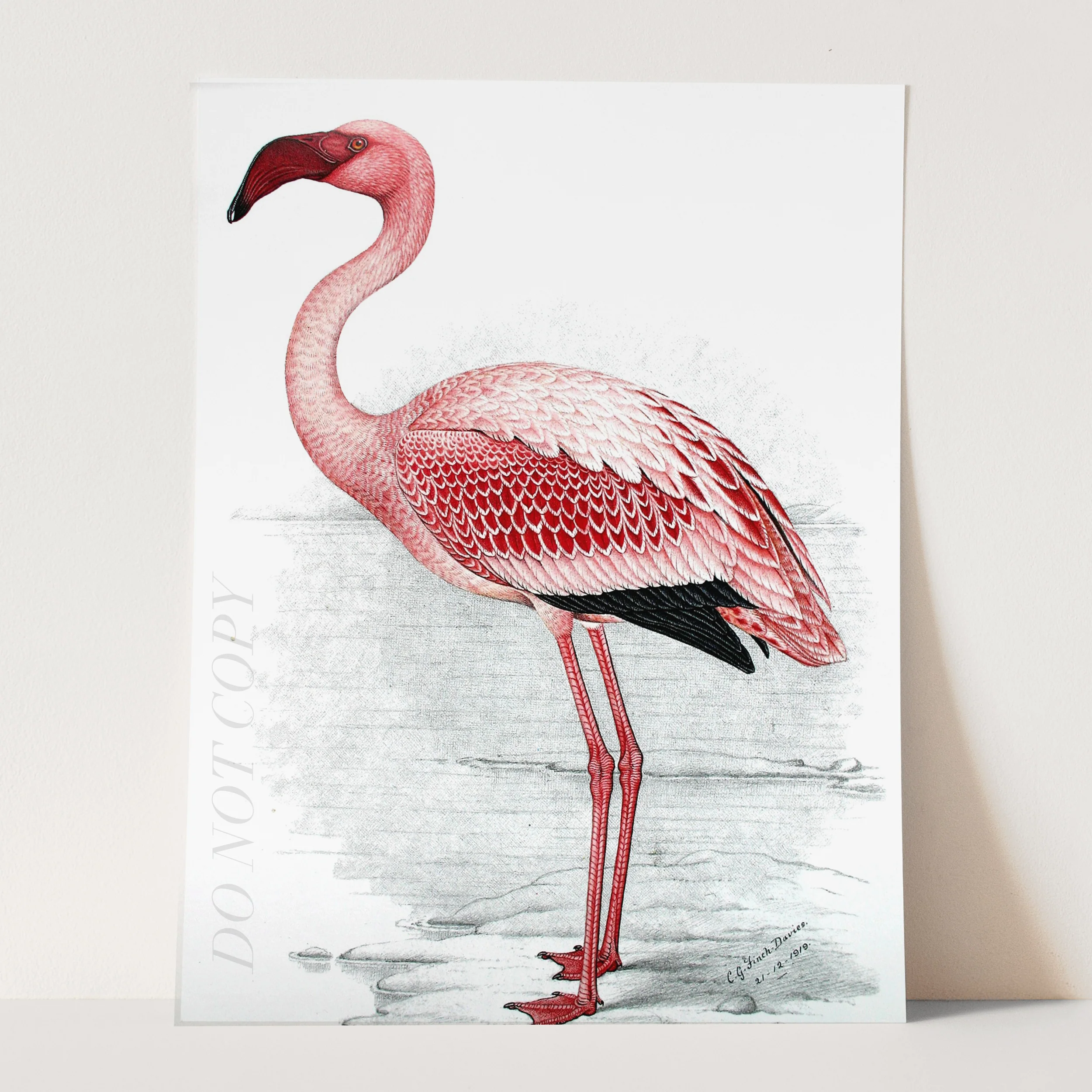 Pink Flamingo - Image 3