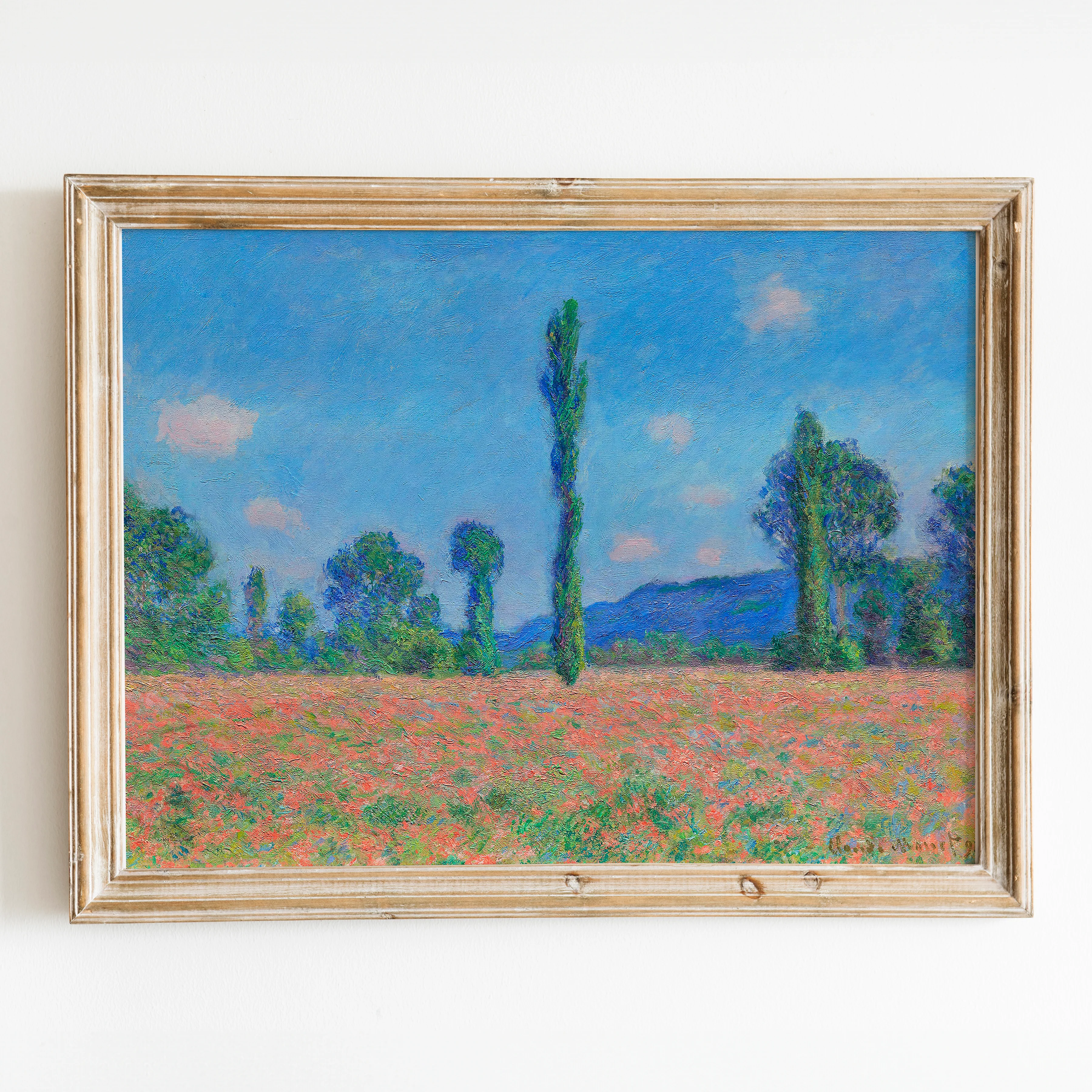 Poppy Field, Giverny (1890–1891) by Claude Monet