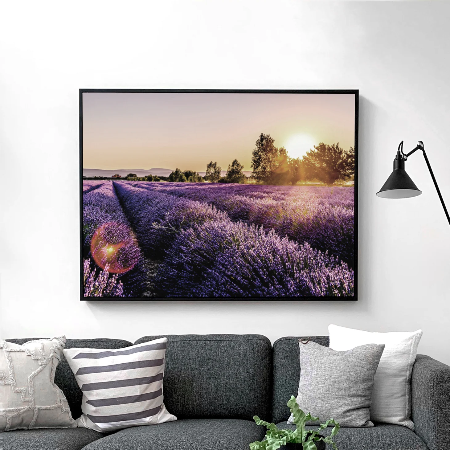 Sunset Over Lavender Fields - Image 2