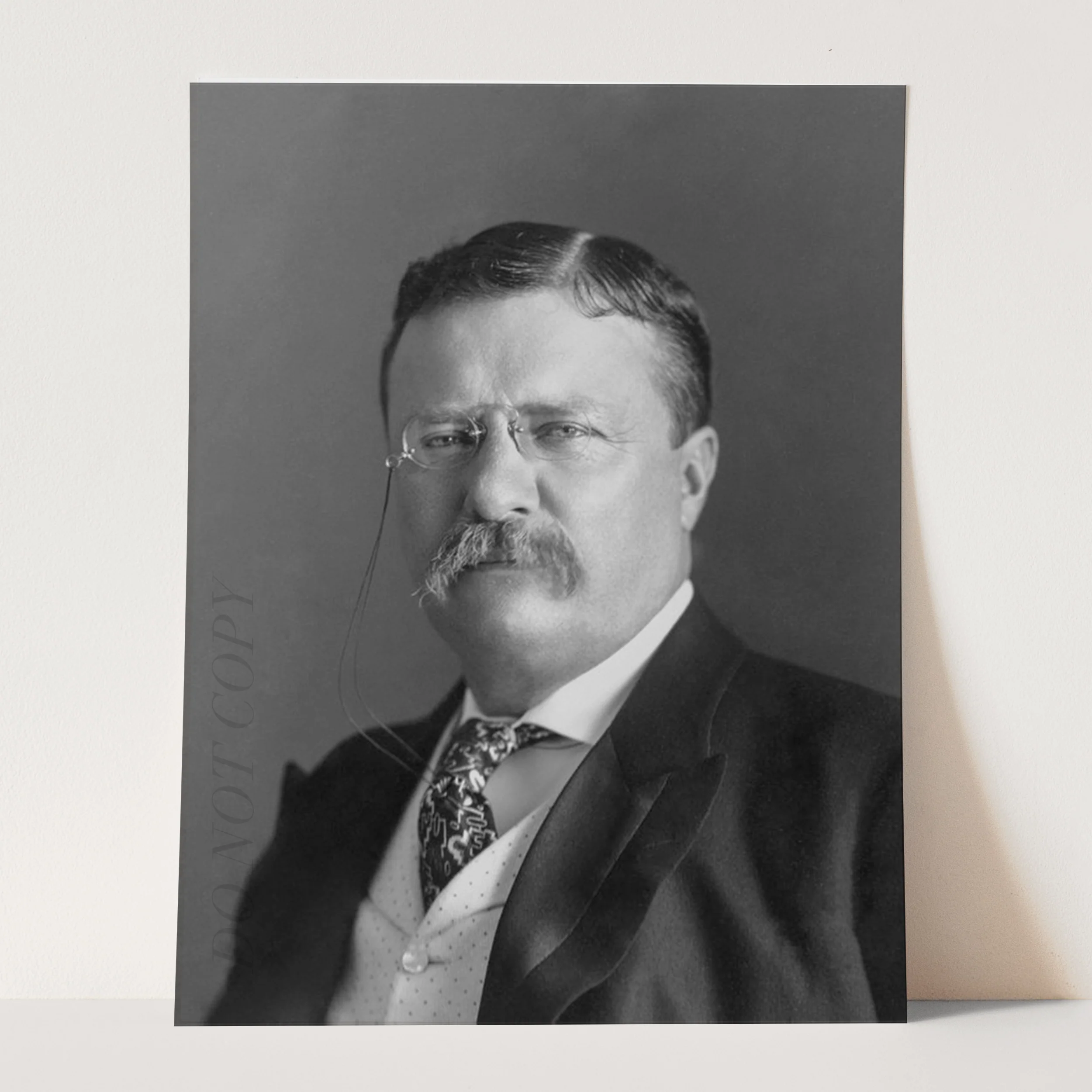 Teddy Roosevelt - Image 3