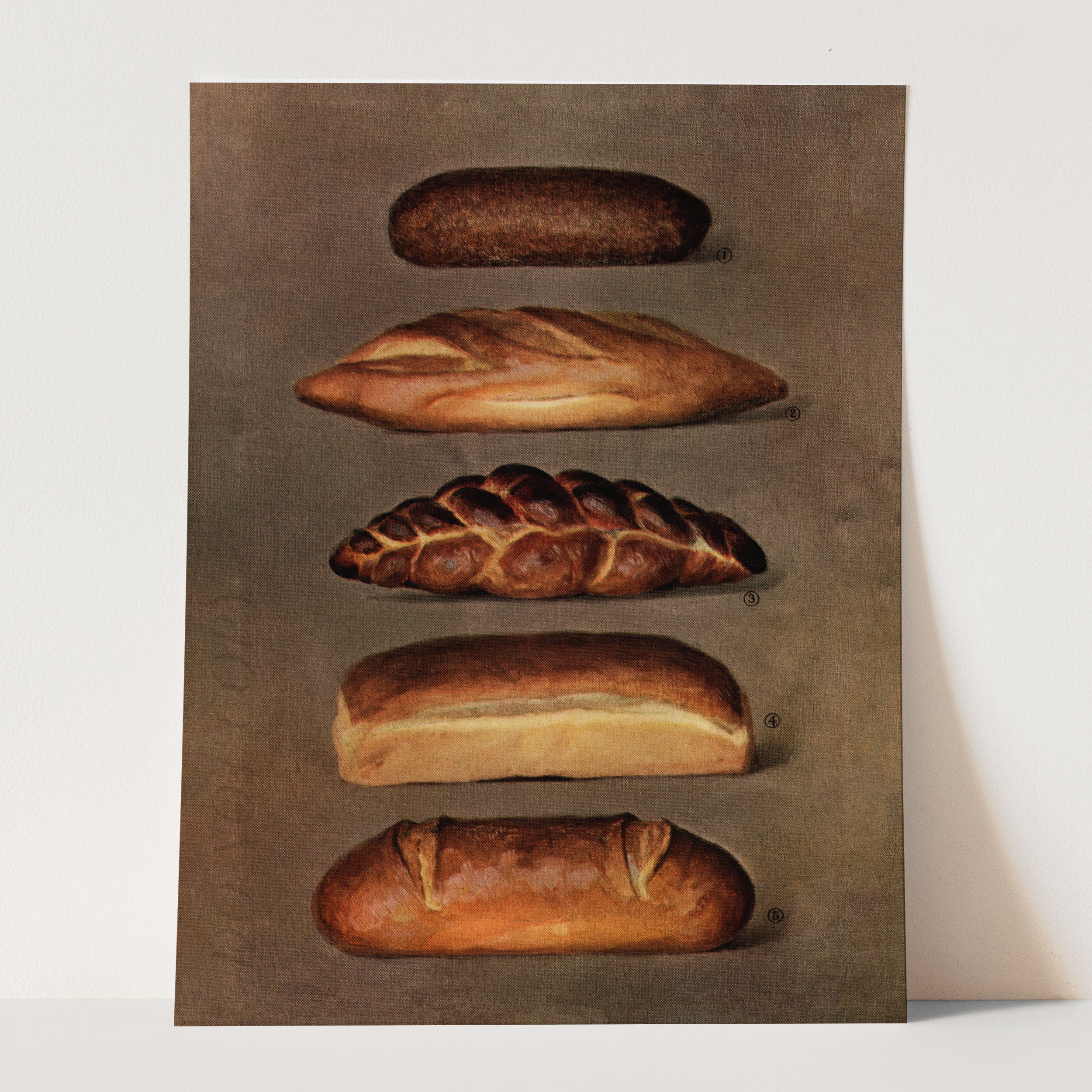 The Grocer's Encyclopedia (1911) - Baked Bread Loaves - Image 3