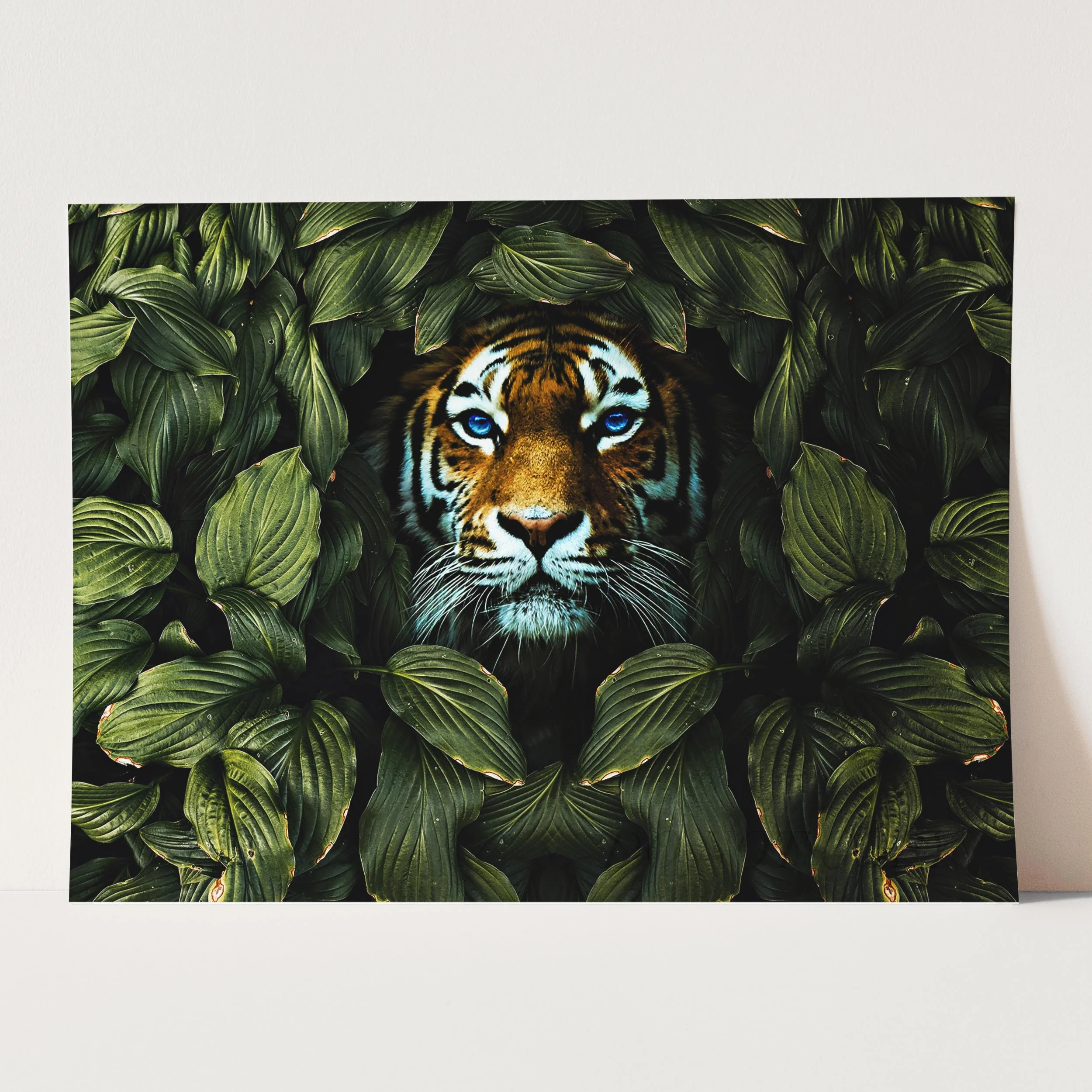 Tiger In The Bushes - Image 5