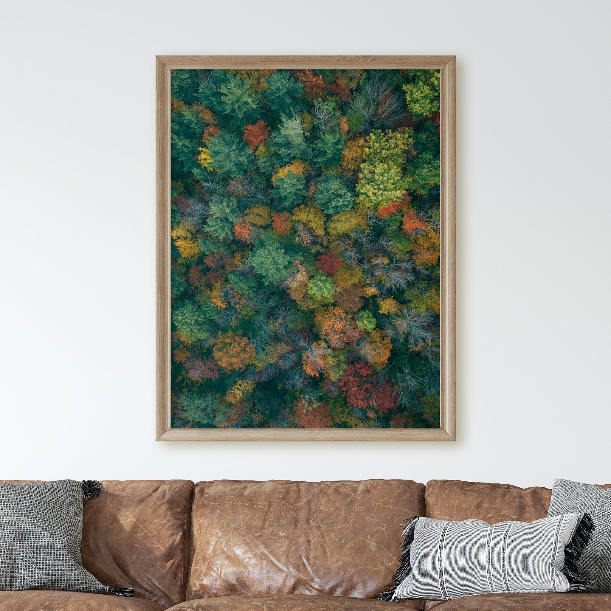 Vermont Forest - Image 2